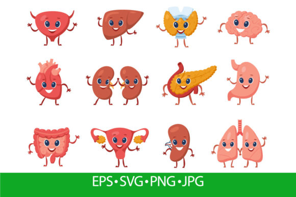 Cute Internal Organ with Funny Faces Review
